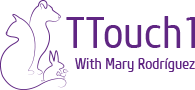 TTouch Logo